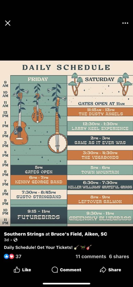 SameAsItEverWas2025-10-04SouthernStringsFestivalAikenSC (2).jpg
